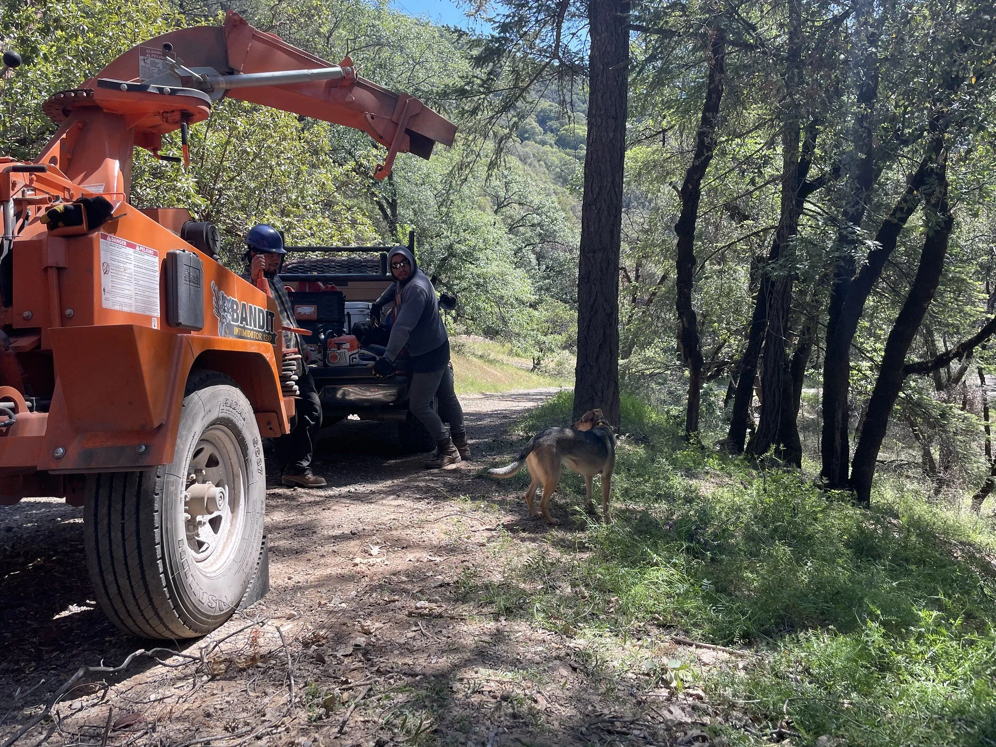 Golden Forest crew with chipper truck