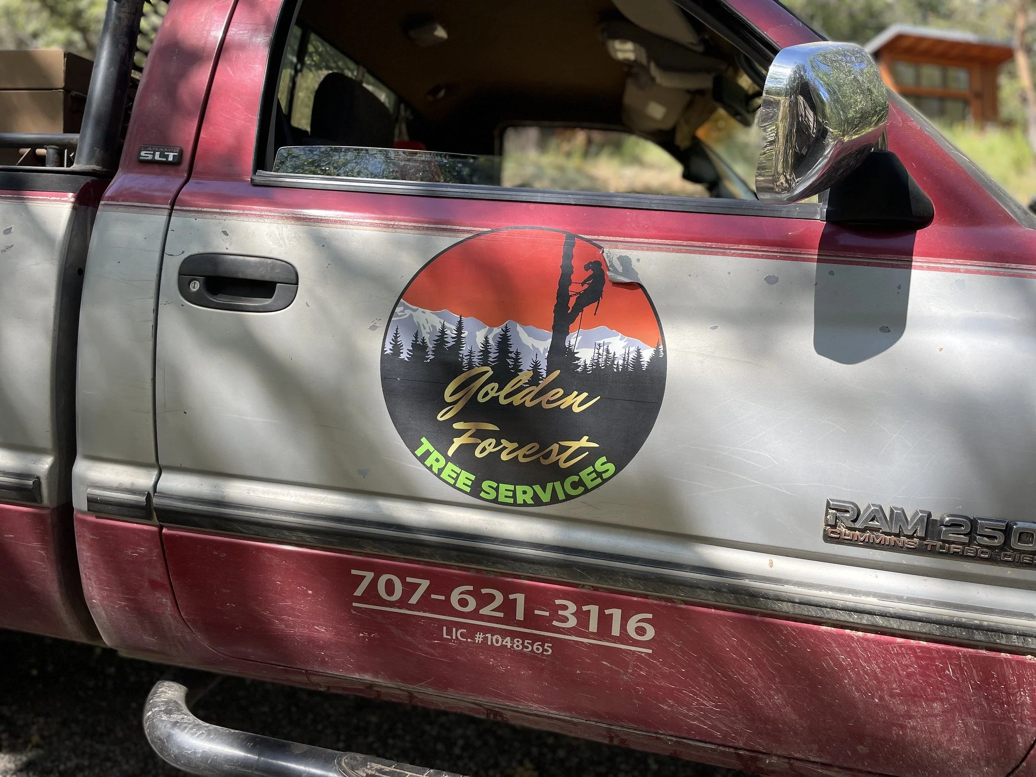 Golden Forest Tree Service truck with logo